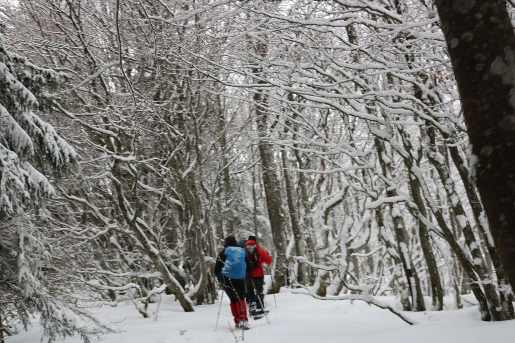 wandern/HTV_Fortbildung