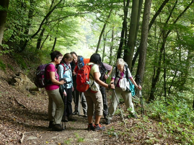 wandern/Loreley-Extratour