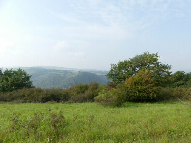 wandern/Loreley-Extratour