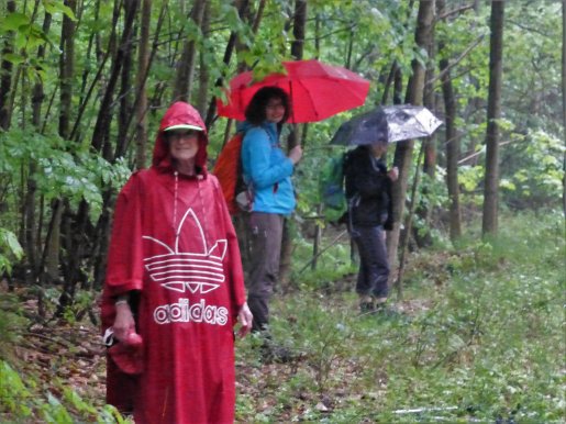 wandern/Melibokus201705