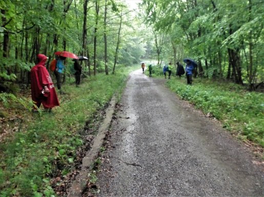 wandern/Melibokus201705