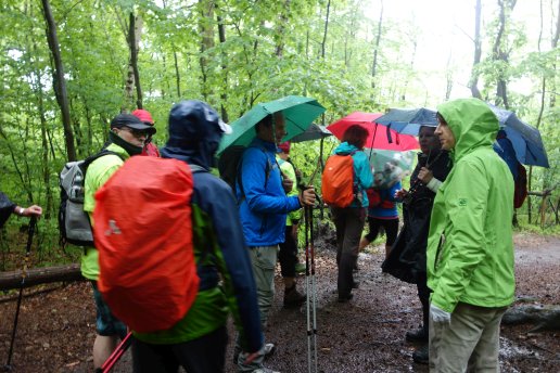 wandern/Melibokus201705