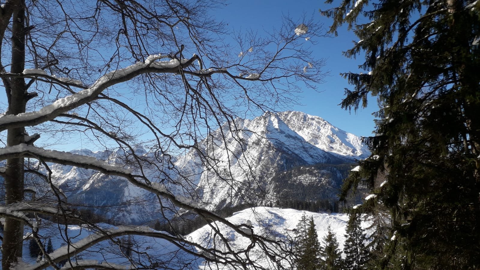 wandern/Silvester2019