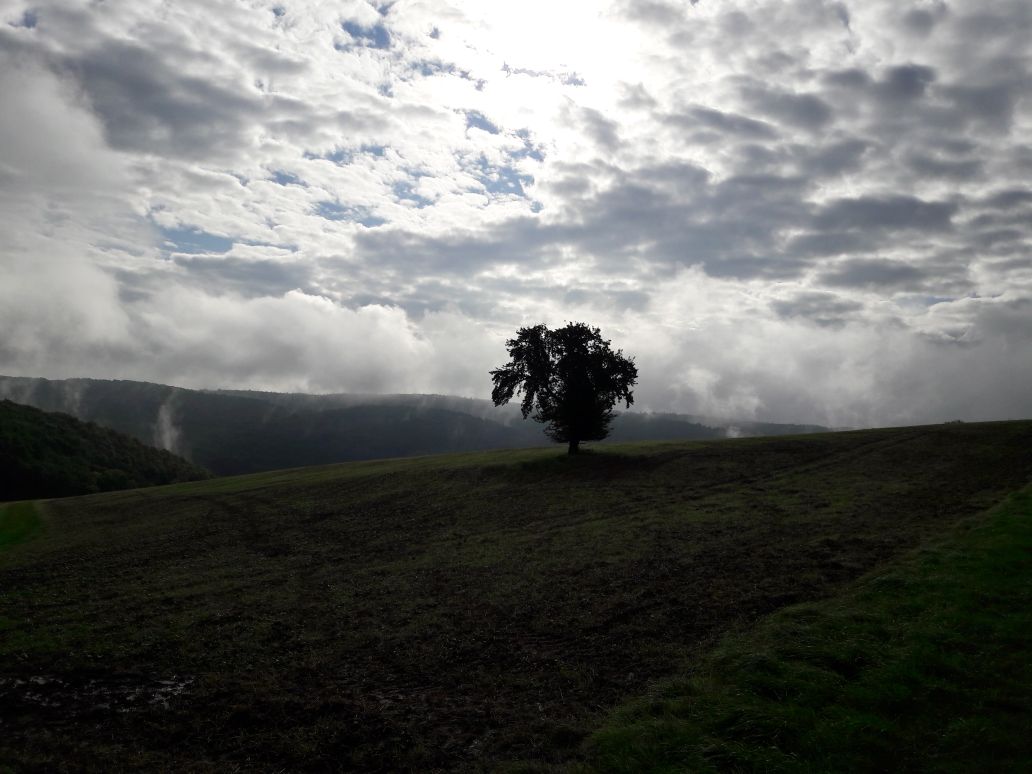 wandern/WilligisWeg2017